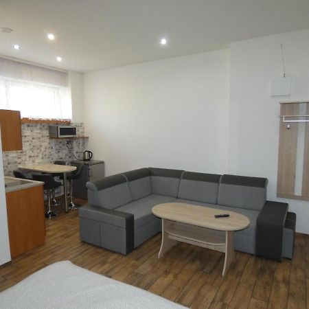 Apartament Bielsko Εξωτερικό φωτογραφία